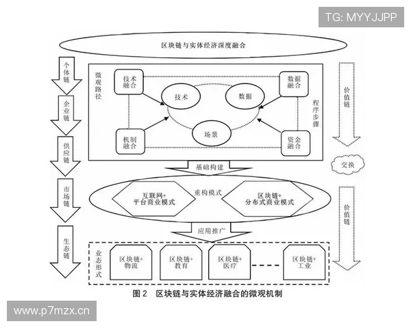 企业家分类与发展路径分析：从创业者到产业领袖的多维视角